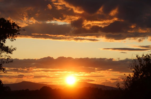 Sunset 225 Rockefeller LN 721 D